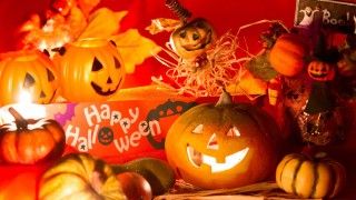 ハロウィン体験入学