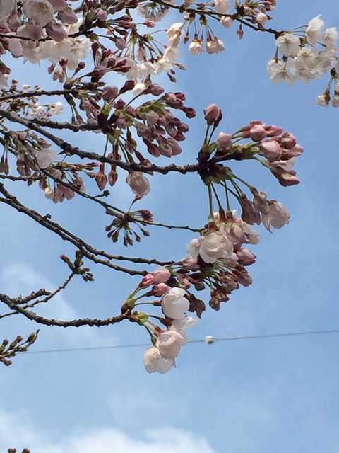 身体の不調を見逃さない話とサイトシンギングのおさらい下行