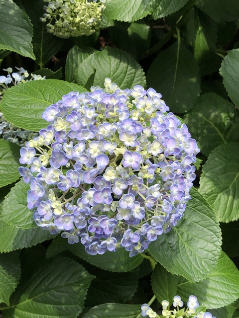 たたみこむ忙しさ