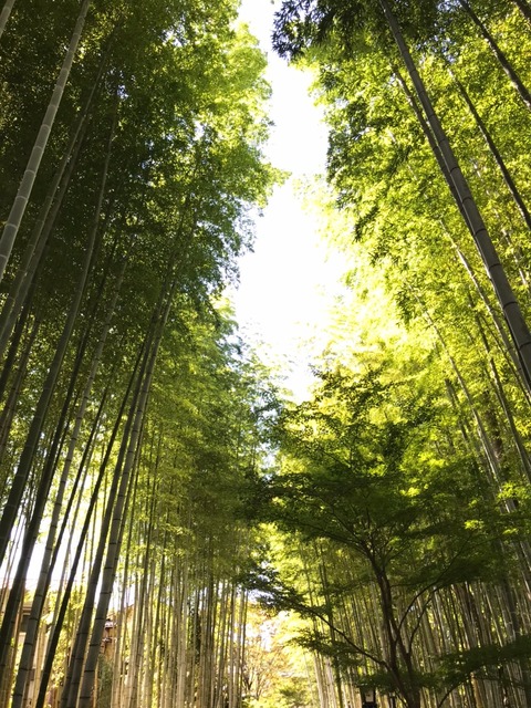 伊豆26
