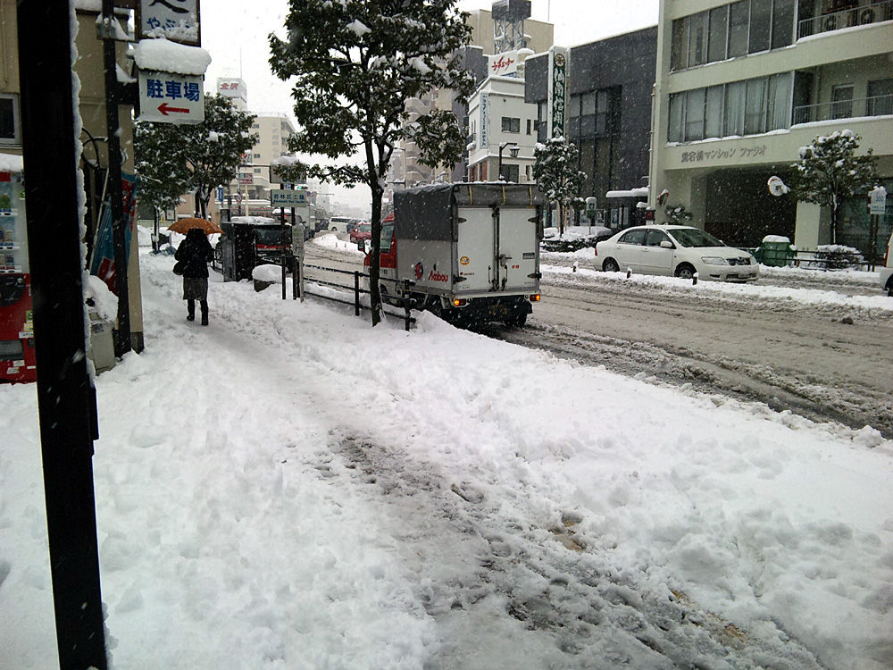 南岸低気圧のドカ雪 : Airplane and Weather Diary