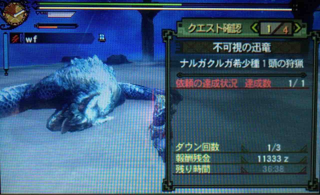 Mh3g ナルガクルガ希少種 ゲームをやるぞ Mh3g ナルガクルガ希少種 ゲームをやるぞ
