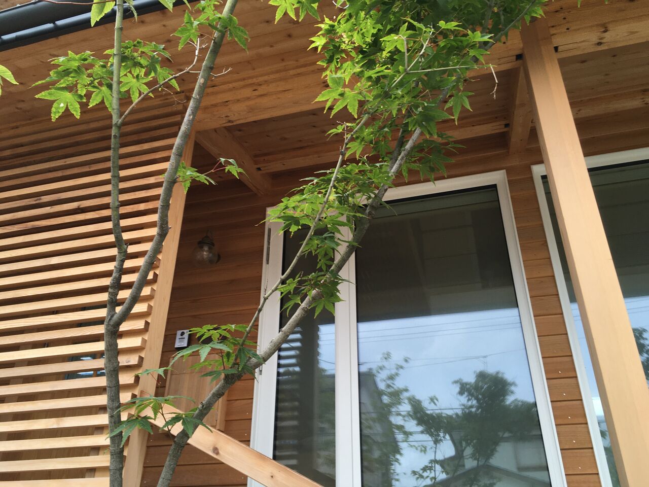 害虫発生 設計事務所と長く愛せる家を建てる 害虫発生 設計事務所と長く愛せる家を建てる