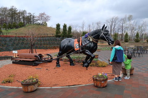 IMG_7008