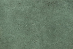 dyun05midori