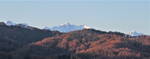IMG_0684