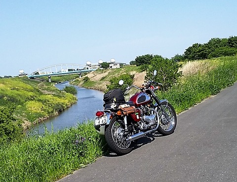 73