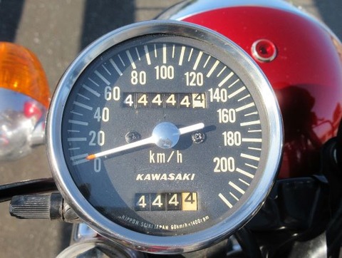 31