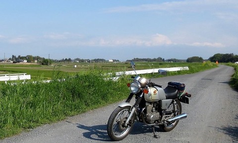41