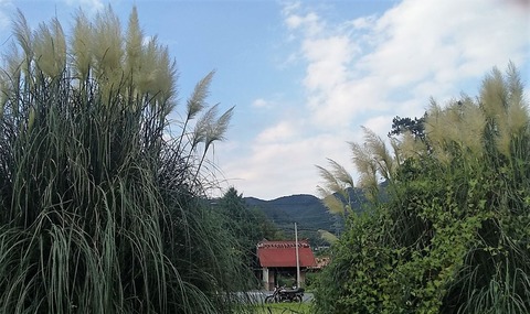 60