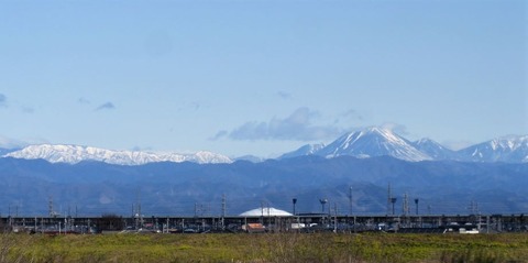 IMG_7846