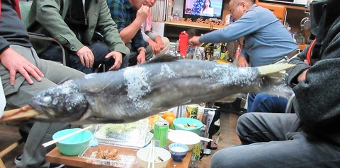 IMG_1092