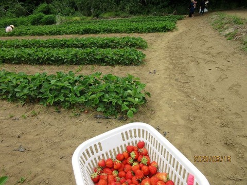 IMG_2697