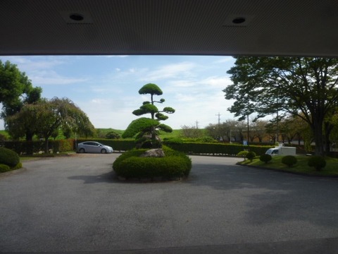 P1110950