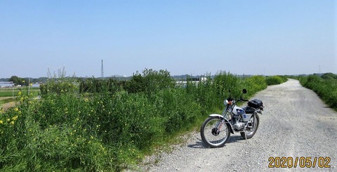20