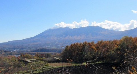 IMG_6886