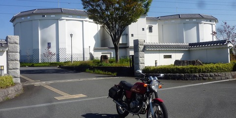 61