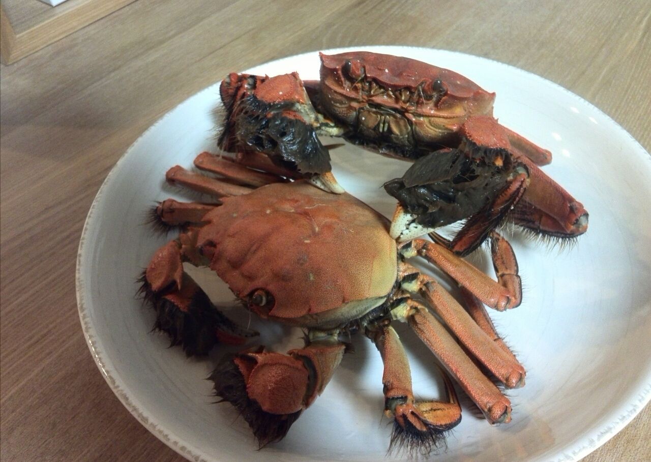 日本の上海蟹 モクズカニを食べてみた 春愁秋思 日本の上海蟹 モクズカニを食べてみた 春愁秋思