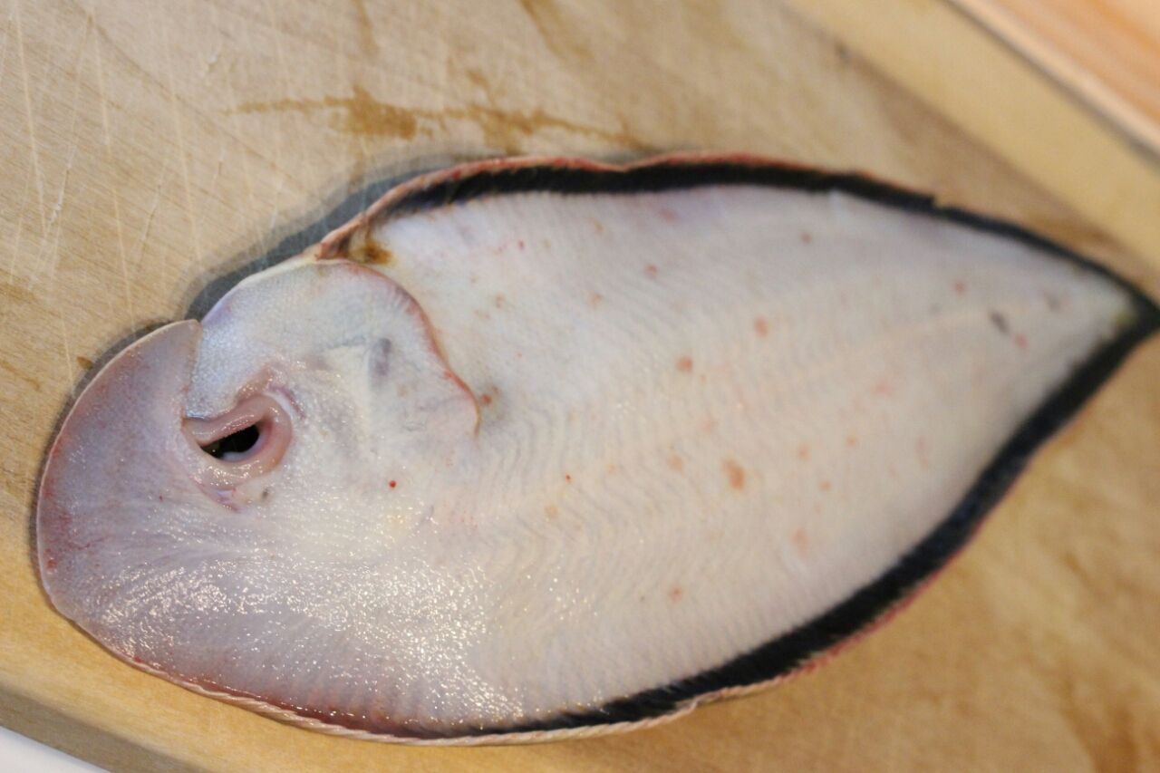 牛タンを食べた次の日に ウシノシタを食べる 春愁秋思