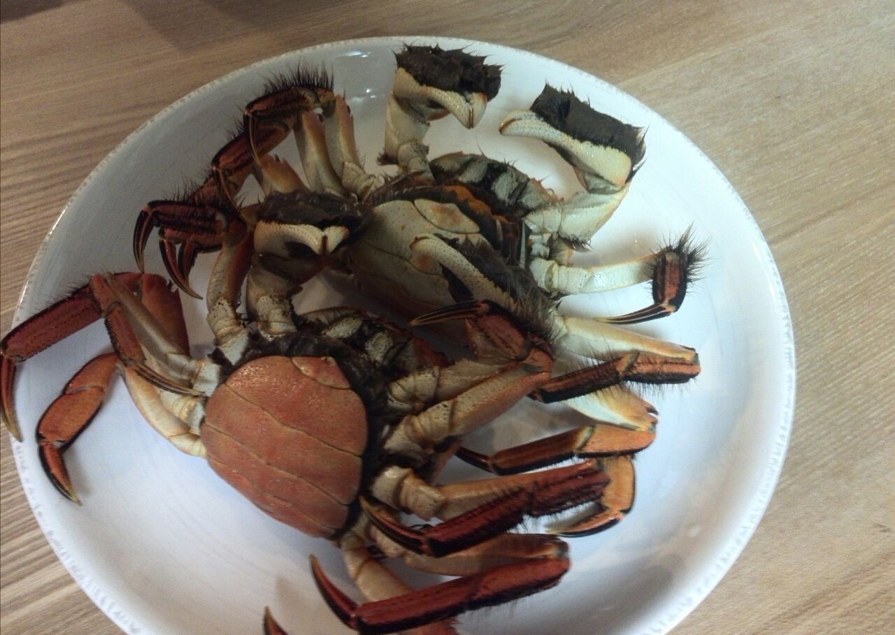 日本の上海蟹 モクズカニを食べてみた 春愁秋思 日本の上海蟹 モクズカニを食べてみた 春愁秋思