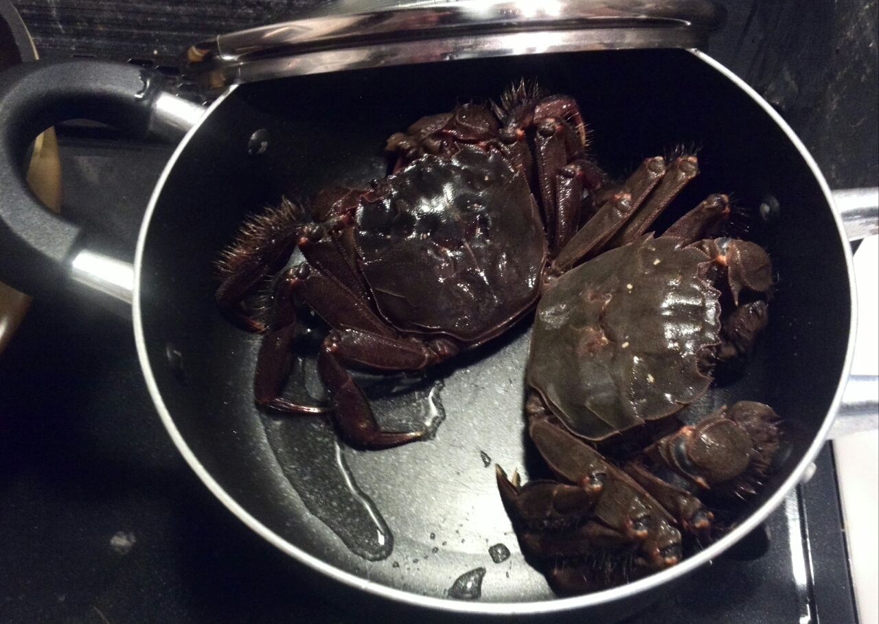 日本の上海蟹 モクズカニを食べてみた 春愁秋思 日本の上海蟹 モクズカニを食べてみた 春愁秋思
