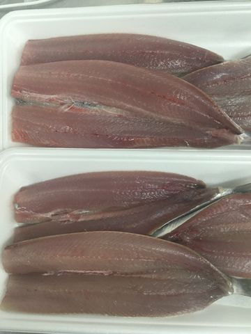 11 15鮮魚コーナーより 綿半スーパーセンター 千曲店生鮮ブログ