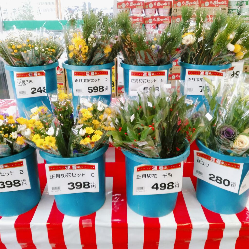 お正月の切り花が入荷しました 綿半スーパーセンター 川中島店ガーデンブログ