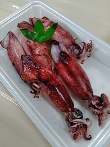 そのままおいしい ボイルやりいか 綿半スーパーセンター 可児店生鮮ブログ