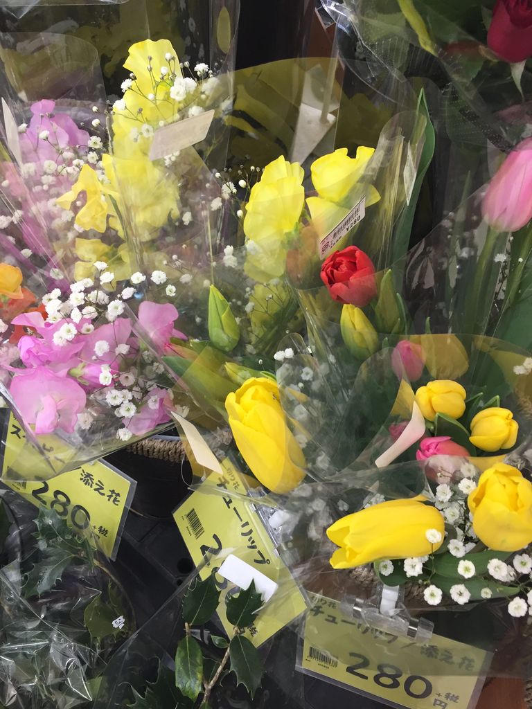 春花の切り花と節分 綿半スーパーセンター 豊科店ガーデンブログ