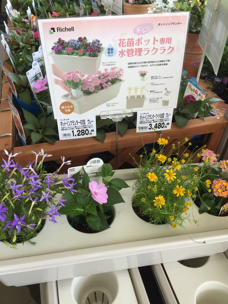 ポットインプランターのご紹介 綿半スーパーセンター 豊科店ガーデンブログ ポットインプランターのご紹介 綿半スーパーセンター 豊科店ガーデンブログ