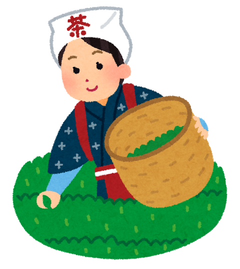 茶摘み娘