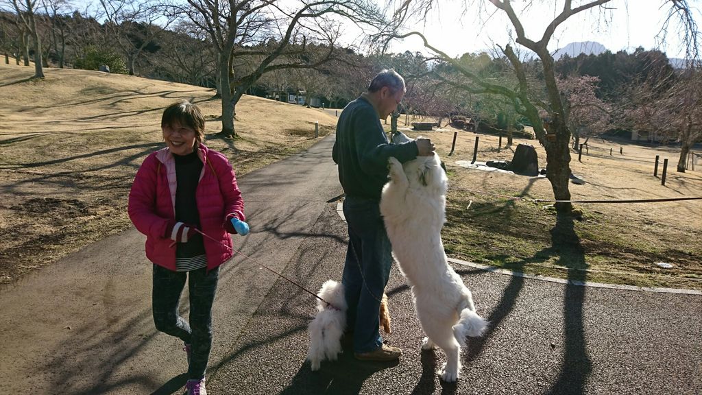 ピレネー犬 ものぐさタロウの日記