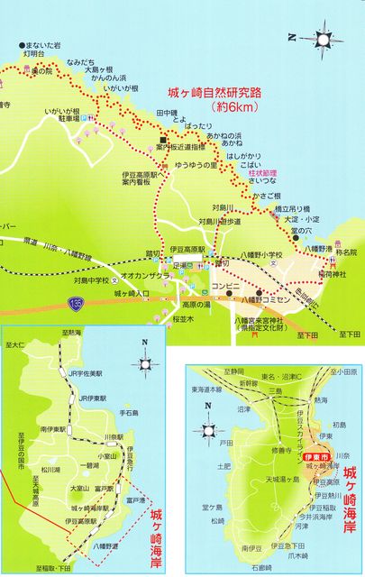 城ヶ崎海岸 あかねの浜付近 ものぐさタロウの日記 城ヶ崎海岸 あかねの浜付近 ものぐさタロウの日記