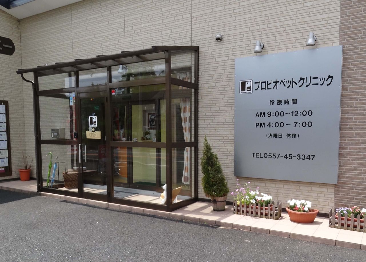 タロウの健康診断 つづき ものぐさタロウの日記 タロウの健康診断 つづき ものぐさタロウの日記
