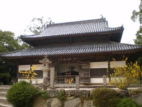 IMGP0731