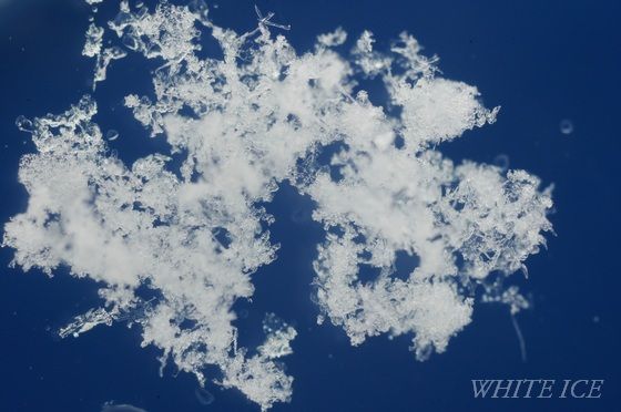 みぞれ : WHITE ICE