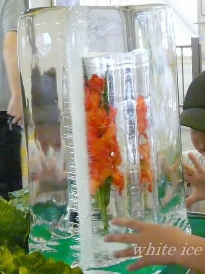 氷中花 電車の旅に出てみました その3 White Ice 氷中花 電車の旅に出てみました その3 White Ice