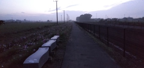 IMG20191020052838