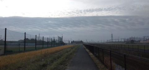 IMG20191020055618