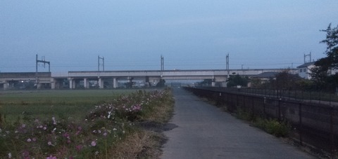 IMG20191020053820