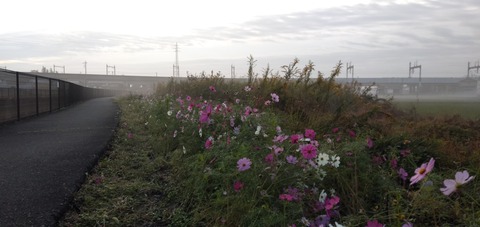 IMG20191020054445