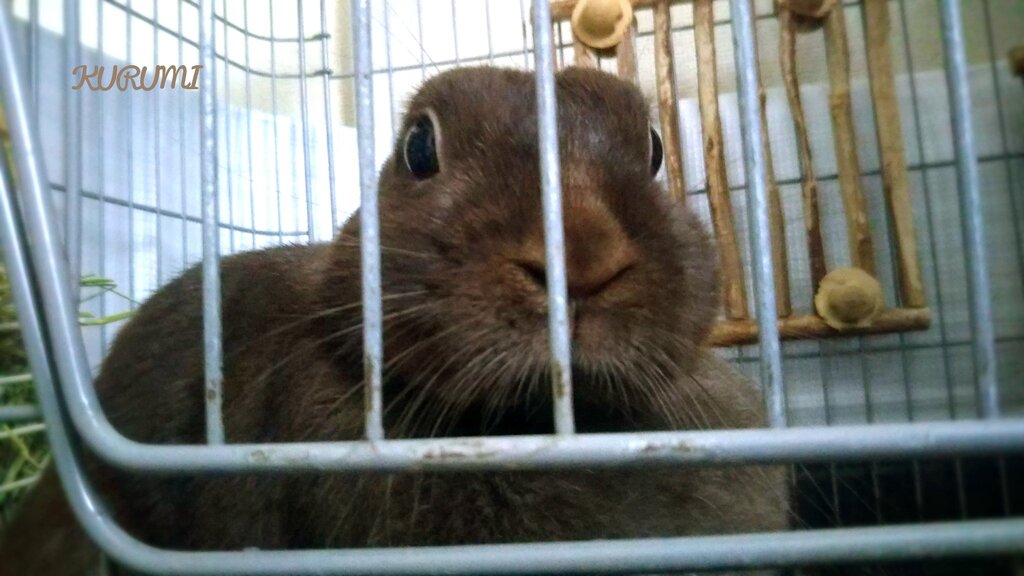 全てお見通しだ White Z Company Official Blog