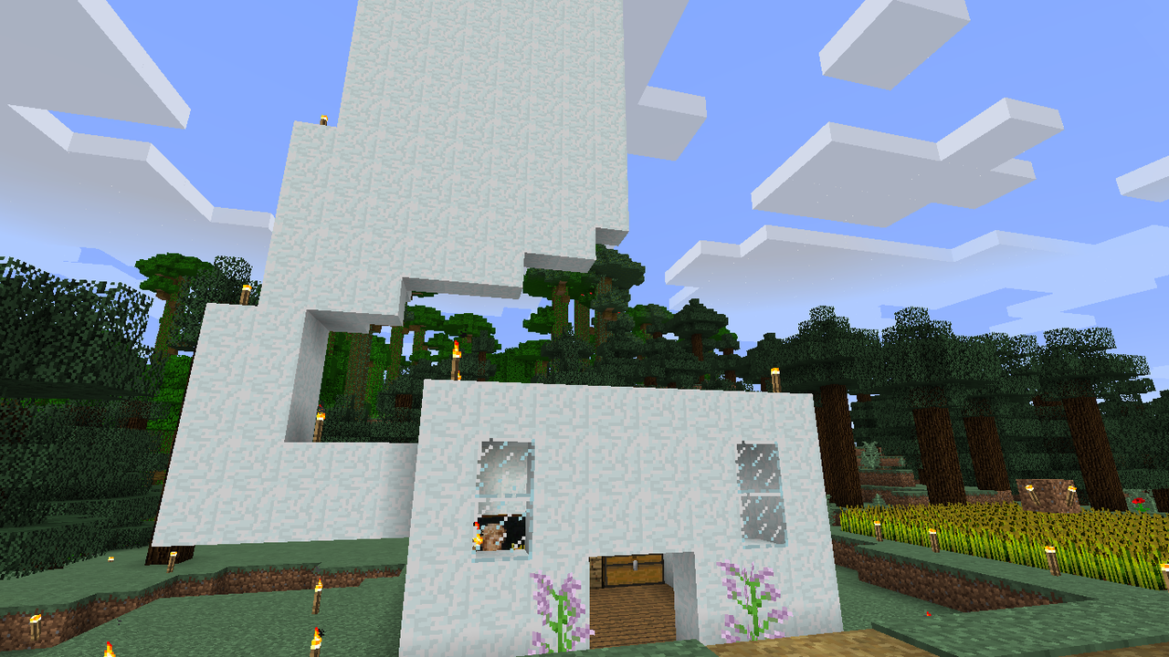 友人とマルチしてました 1 とりあえずマイクラとか 友人とマルチしてました 1 とりあえずマイクラとか