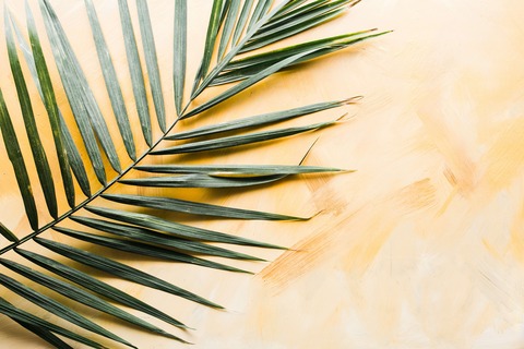 brooke-lark-7rIsBSxhiXM-unsplash