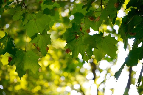 meri-sorgaard-a2VNcdMEbOI-unsplash