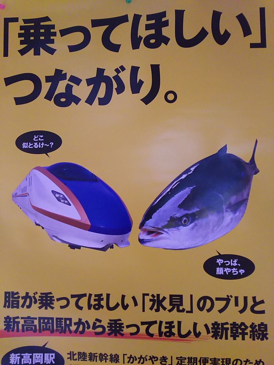 おもしろポスター Whitedoraのblog おもしろポスター Whitedoraのblog