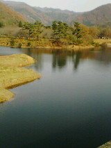 d6e5d040.jpg