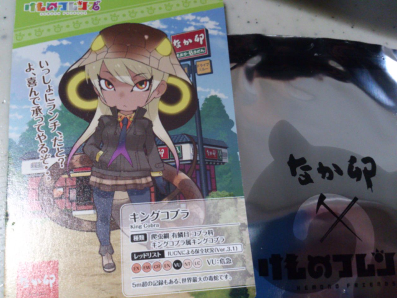 なか卯 豚テキ重 けものフレンズ 東山水上行