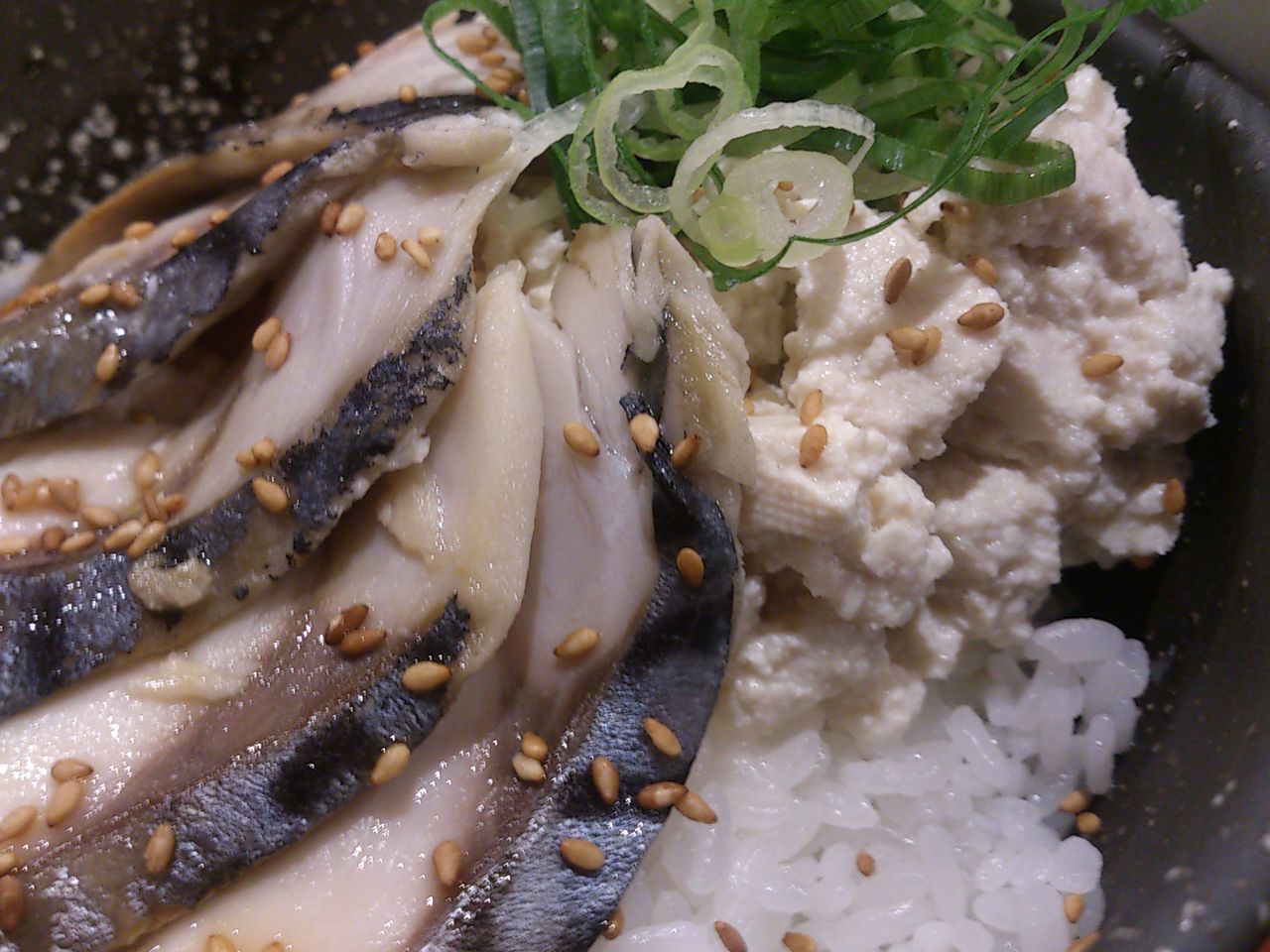 どん亭 焼しめ鯖の冷汁飯 東山水上行 どん亭 焼しめ鯖の冷汁飯 東山水上行