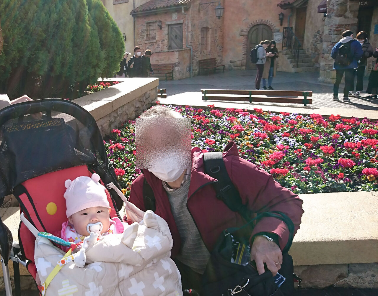 ディズニーシー 連チャン トイ プードルの親子 Tosa Fan Town